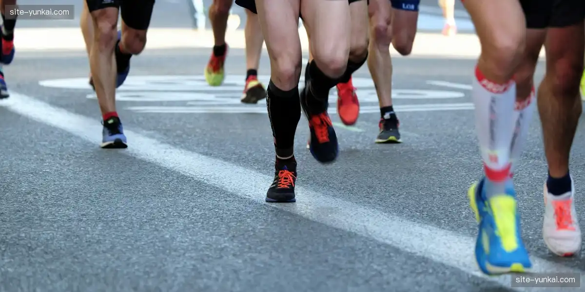 专业数据服务 助力策略制定